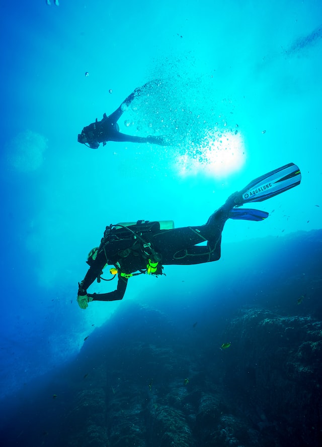 Cayman Islands Dive Guide